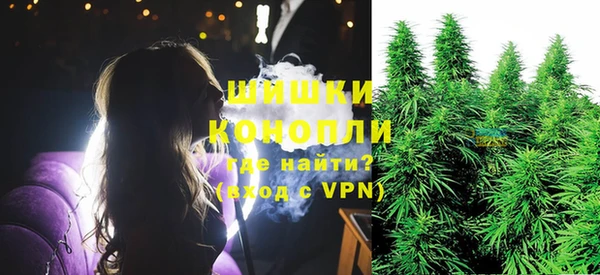 сатива Бронницы
