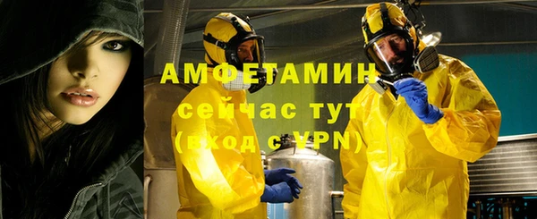 сатива Бронницы