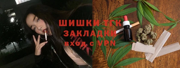 винт Бородино